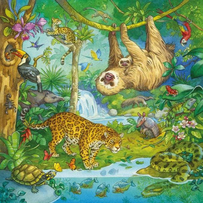 Ravensburger - Jungle Fun - 3 x 49 Piece Jigsaw Puzzle