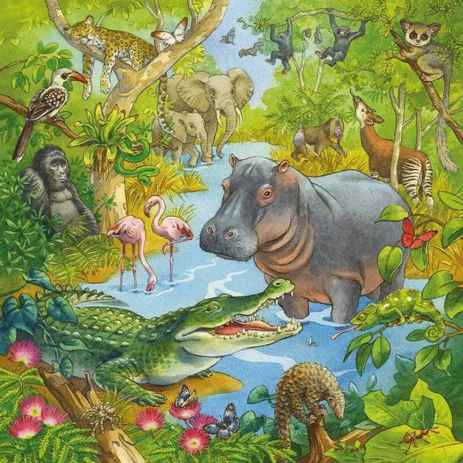 Ravensburger - Jungle Fun - 3 x 49 Piece Jigsaw Puzzle