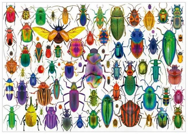 Educa - Beetles - 500 Piece Jigsaw Puzzle
