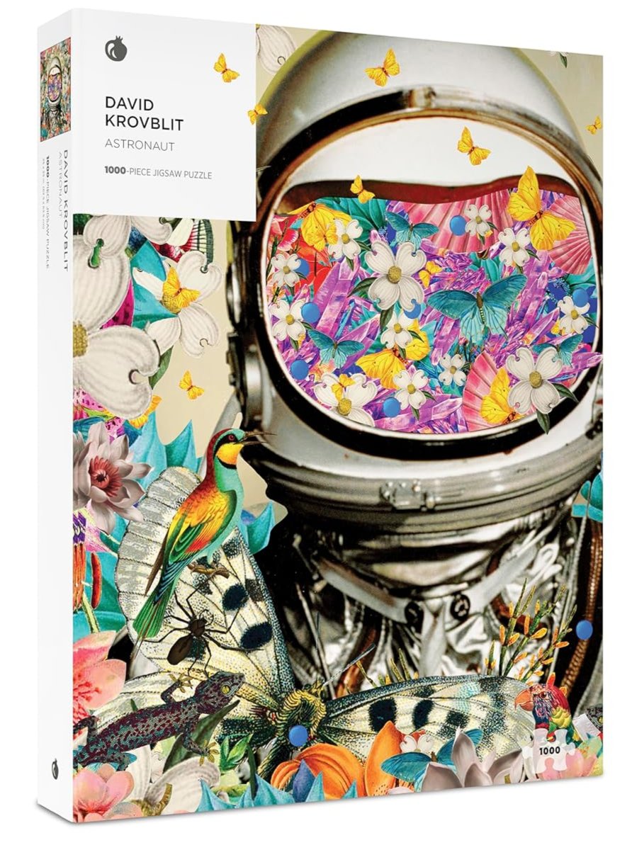 Pomegranate - David Krovblit - Astronaut - 1000 Piece Jigsaw Puzzle
