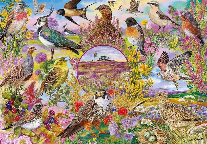 Gibsons - RSPB - Wings in the Wild - 4 x 500 Piece Jigsaw Puzzle