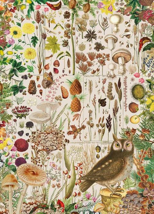 Gibsons - RHS - Fall Flora - 1000 Piece Jigsaw Puzzle