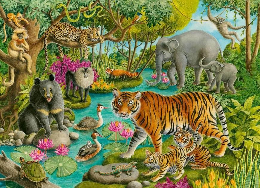 Ravensburger Animals of India 60 Piece Jigsaw Puzzle – Jigsaw