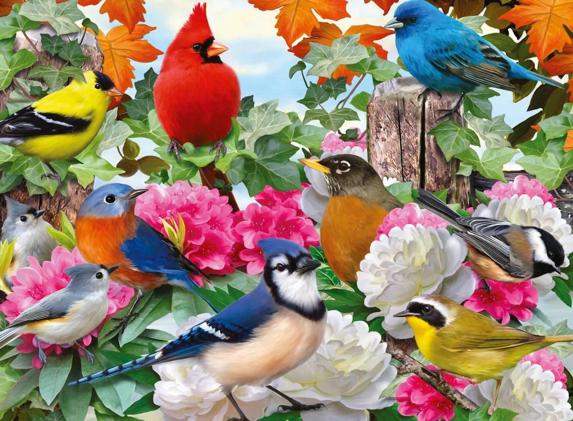 Ravensburger - Garden Birds - 500 Piece Jigsaw Puzzle