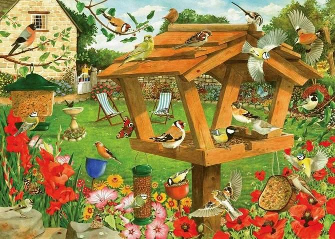 House of Puzzles - Strictly For The Birds - 250XL Piece Jigsaw Puzzle