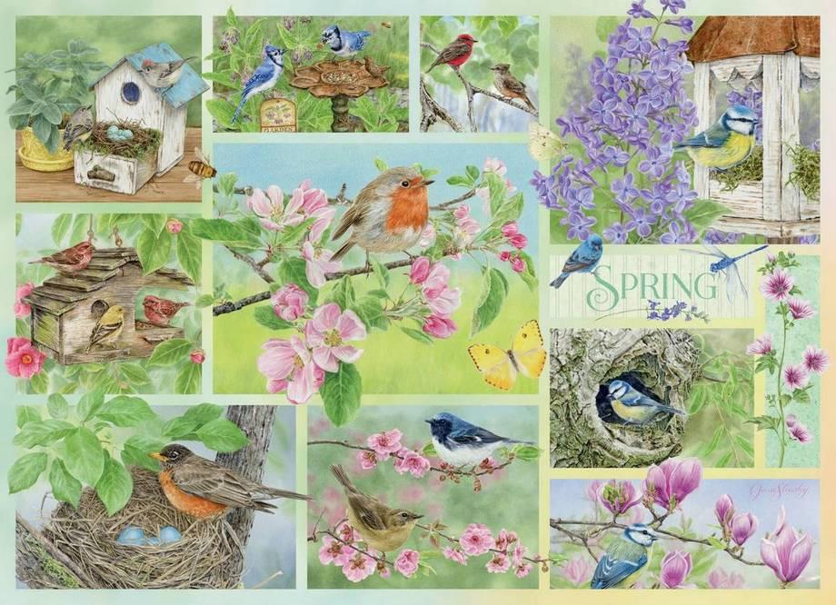 Cobble Hill - Garden Birds in Spring - 500 Piece Jigsaw Puzzle