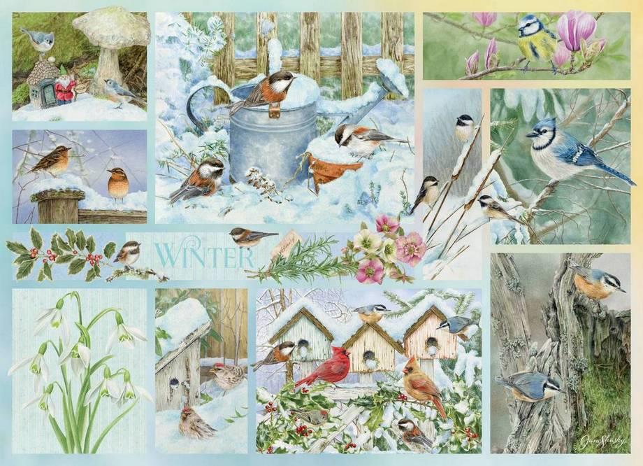 Cobble Hill - Garden Birds in Winter - 500 Piece Jigsaw Puzzle