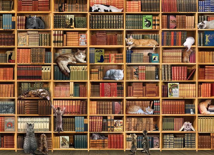 Cobble Hill - Cat Library - 1000 Piece Jigsaw Puzzle