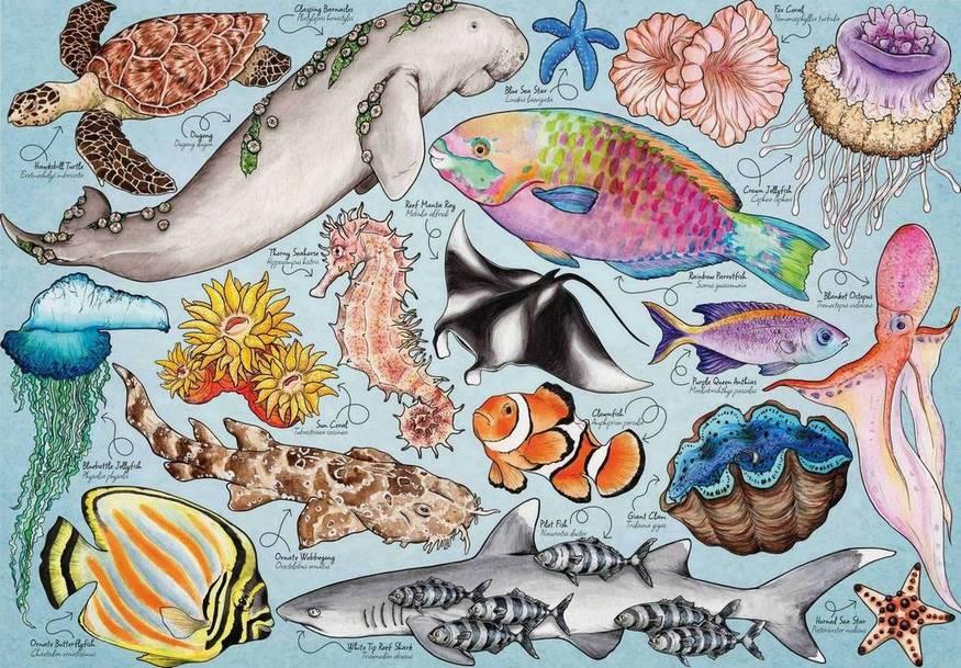 House of Puzzles - Great Barrier Reef - 1000 Piece Jigsaw Puzzle