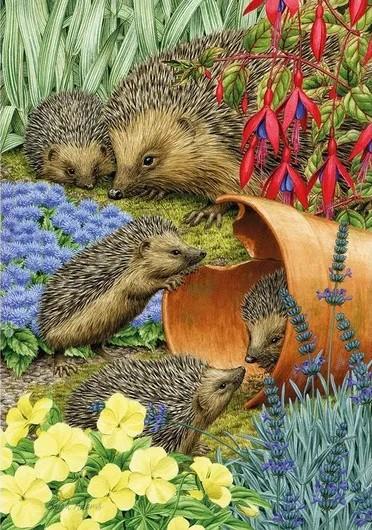 Wentworth - Hedgehogs - 250 Piece Wooden Jigsaw Puzzle