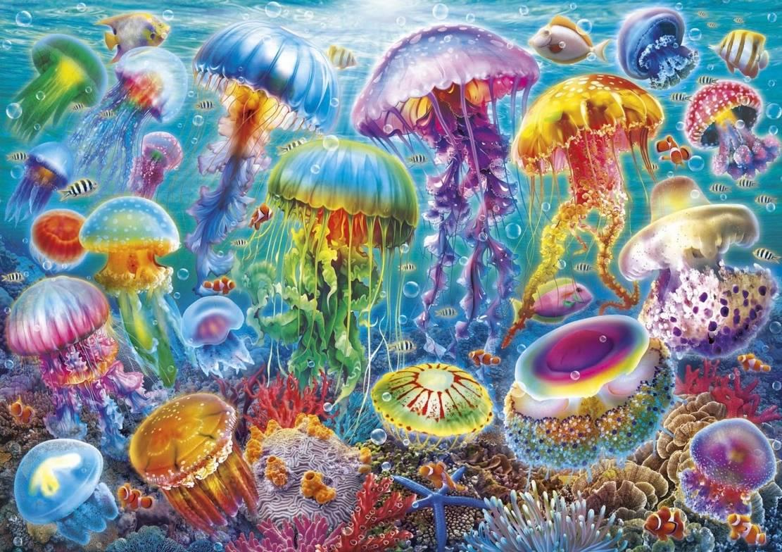 Educa - Jellyfish - 1000 Piece Jigsaw Puzzle