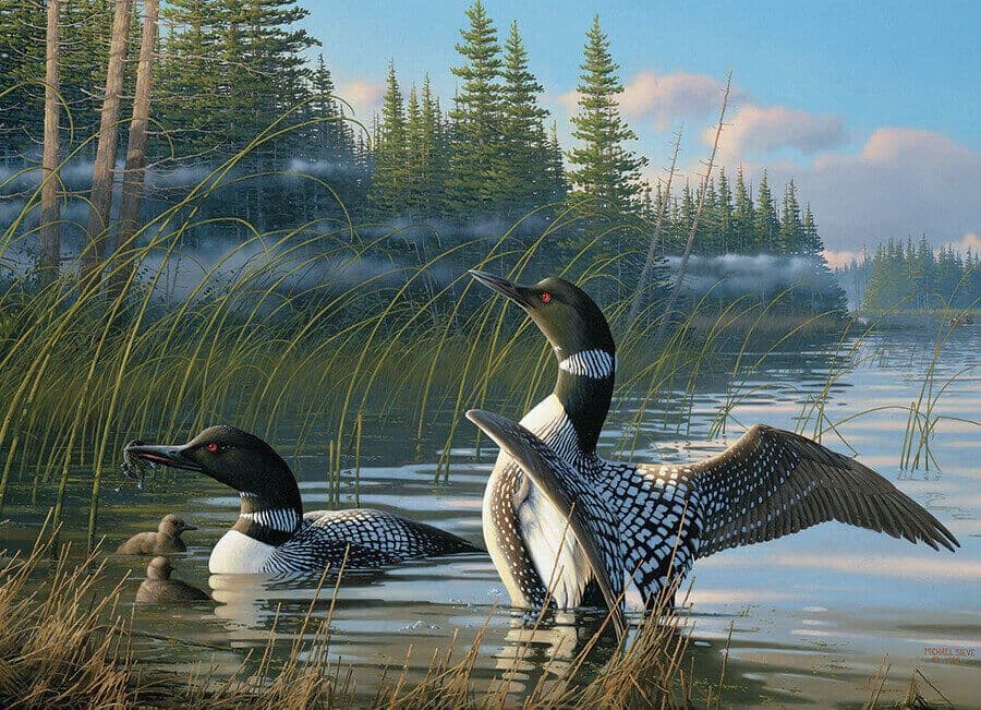 Cobble Hill - Common Loons - 1000 Piece Jigsaw Puzzle
