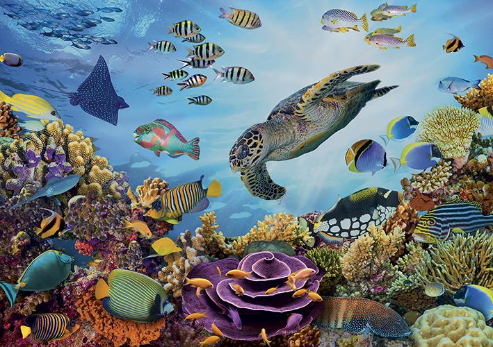 Calypto - Seabed - 500XL Piece Jigsaw Puzzle