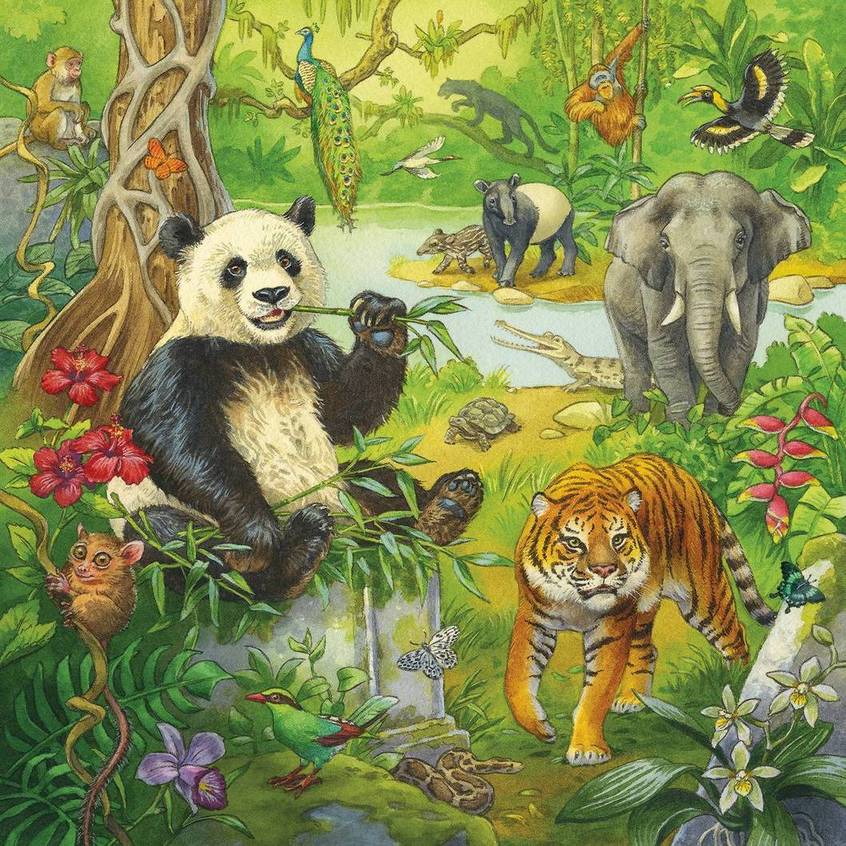 Ravensburger - Jungle Fun - 3 x 49 Piece Jigsaw Puzzle
