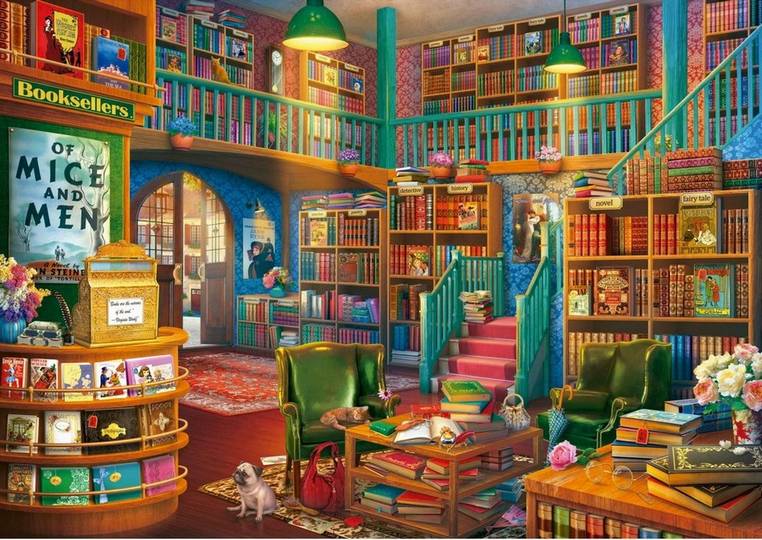 Educa - Wonderful Bookshop - 1000 Piece Jigsaw Puzzle