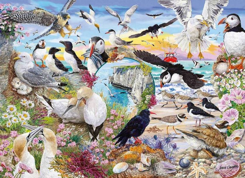 Gibsons - RSPB - Wings in the Wild - 4 x 500 Piece Jigsaw Puzzle
