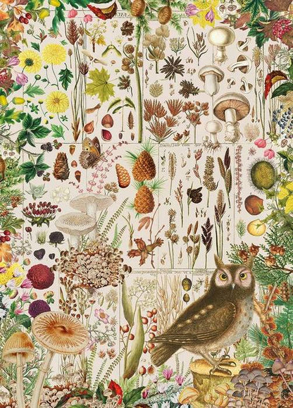 Gibsons - RHS - Fall Flora - 1000 Piece Jigsaw Puzzle