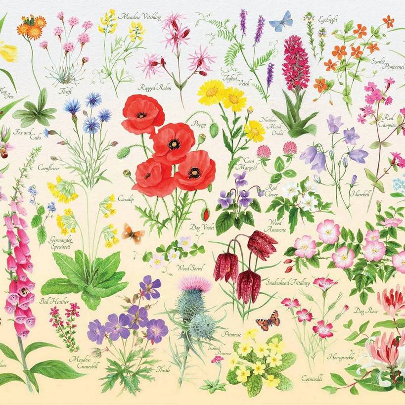 House of Puzzles - Wildflowers - 150 Piece Mini Jigsaw Puzzle in a Tube