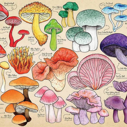 House of Puzzles - Mushroom Mania - 150 Piece Mini Jigsaw Puzzle in a Tube
