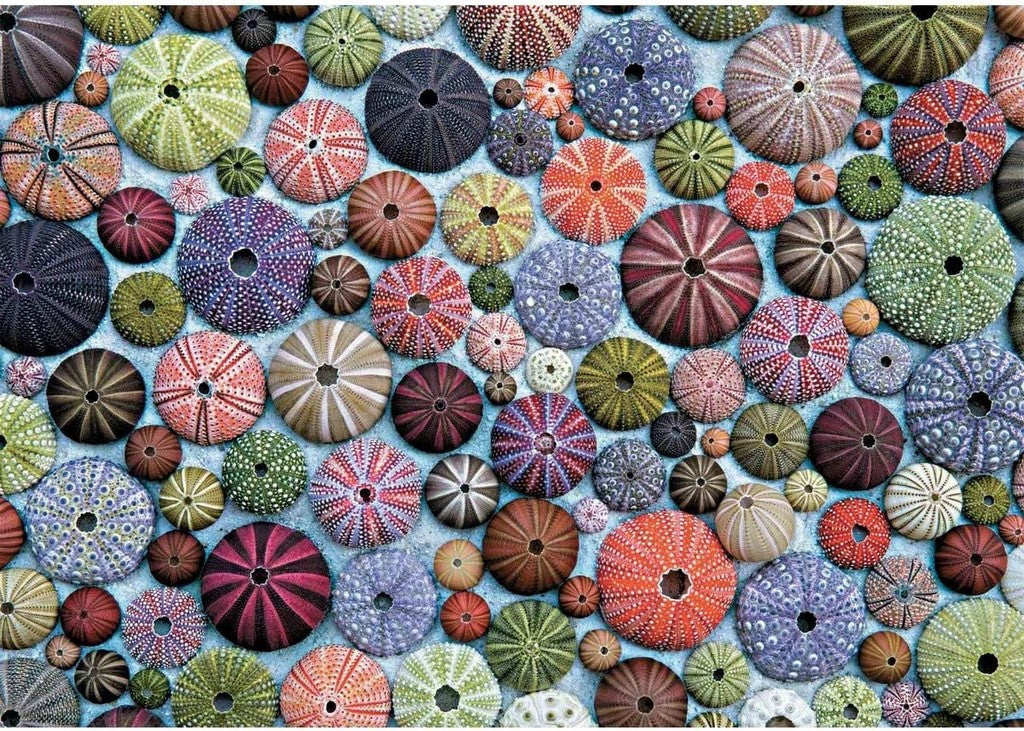 Piatnik - Sea Urchins - 1000 Piece Jigsaw Puzzle