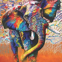 Animals