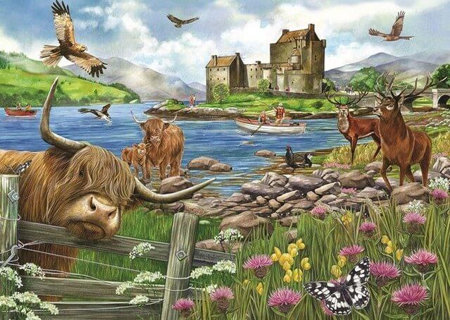 Otter House - The Highlands - 1000 Piece Jigsaw Puzzle