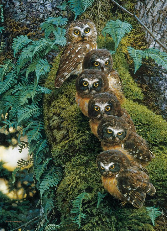 Cobble Hill - Family Tree Owls - 1000 Piece Jigsaw Puzzle