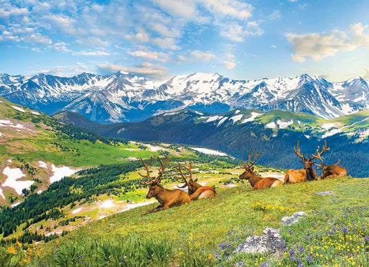 Eurographics - Mountain Elks - 1000 Piece Jigsaw Puzzle