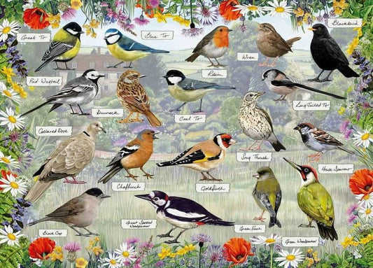 Gibsons - RSPB - Blissful Birds - 1000 Piece Jigsaw Puzzle