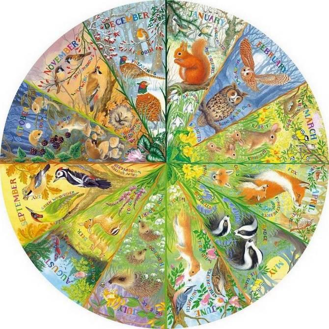 Gibsons - National Trust - A Year in the Forest - 500 Piece Circular Jigsaw Puzzle