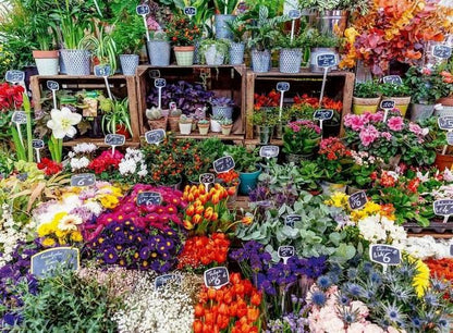 Ravensburger - Flower Market France - 500 Piece Jigsaw Puzzle