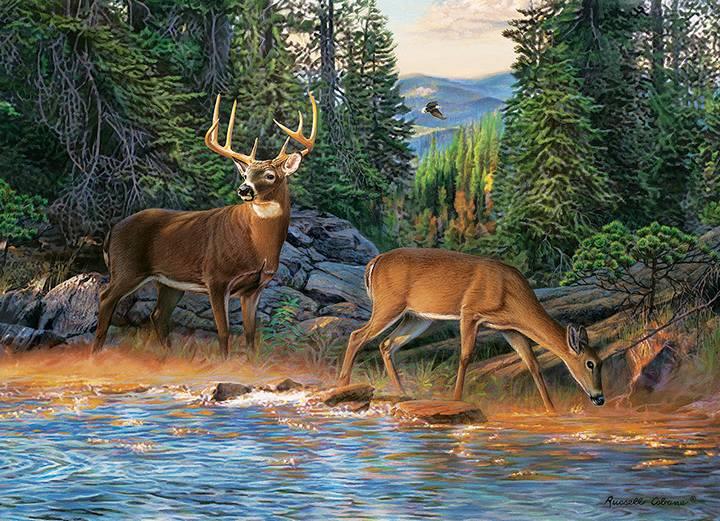 Cobble Hill - The Rivers Edge - 1000 Piece Jigsaw Puzzle