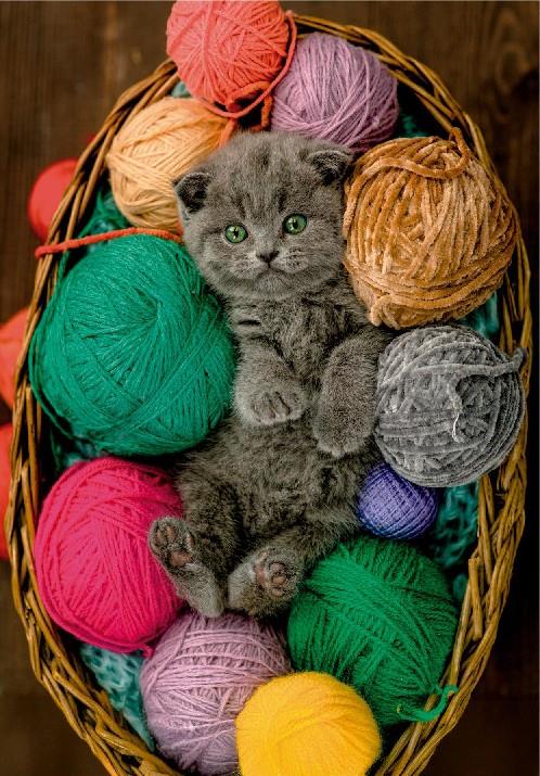 Clementoni - Fluffy Kitten - 500 Piece Jigsaw Puzzle