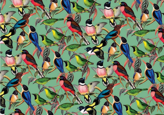House of Puzzles - Brilliant Birds - 1000 Piece Jigsaw Puzzle