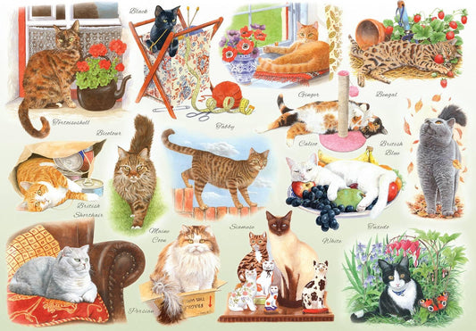 House of Puzzles - A Clowder of Cats - 500XL Piece Jigsaw Puzzle