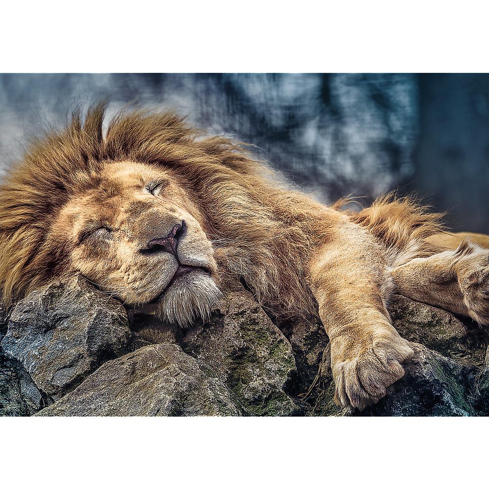 Trefl - Sleeping Lion - 1000 Piece Jigsaw Puzzle