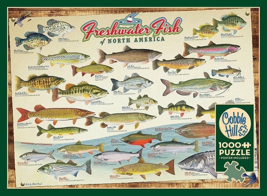 Cobble Hill - Freshwater Fish of North America - 1000 Piece Jigsaw Puzzle