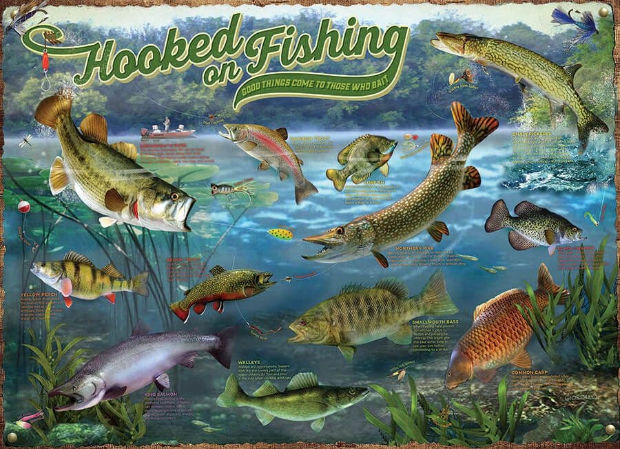 Cobble Hill - Hooked on Fishing - 1000 Piece Jigsaw Puzzle