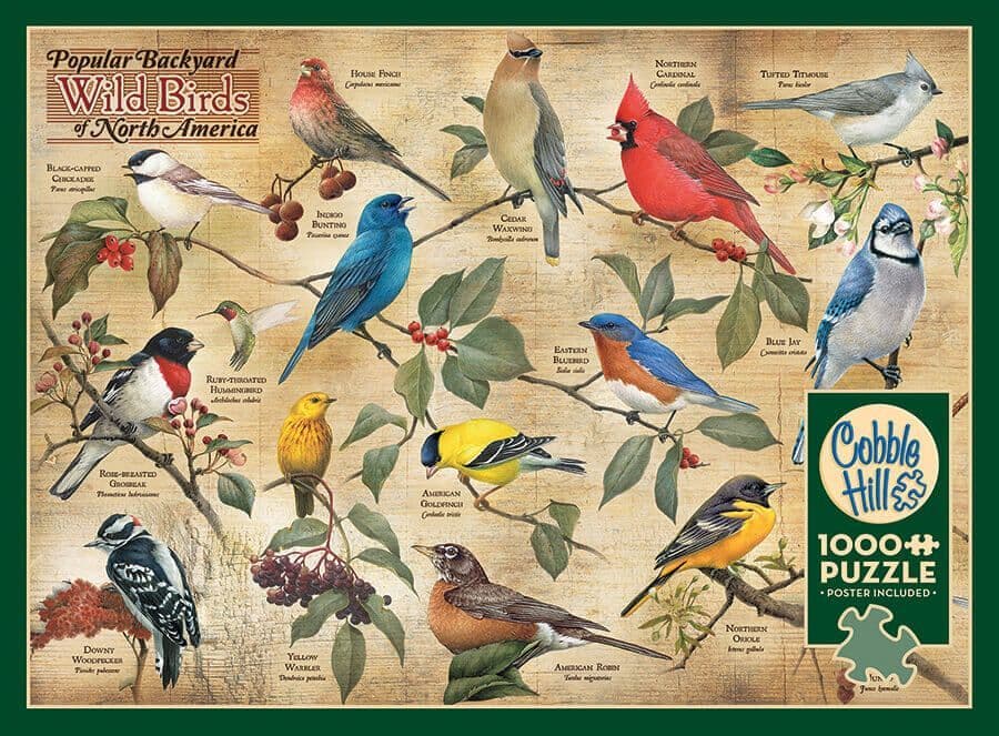 Cobble Hill - Popular Backyard Wild Birds of North America - 1000 Piece Jigsaw Puzzle