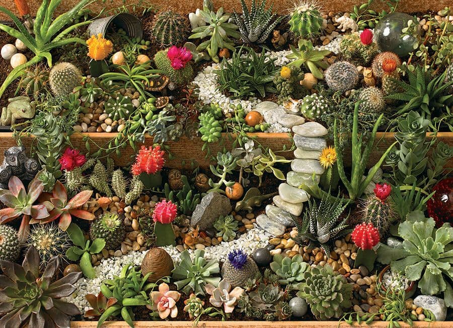 Cobble Hill - Succulent Garden - 1000 Piece Jigsaw Puzzle