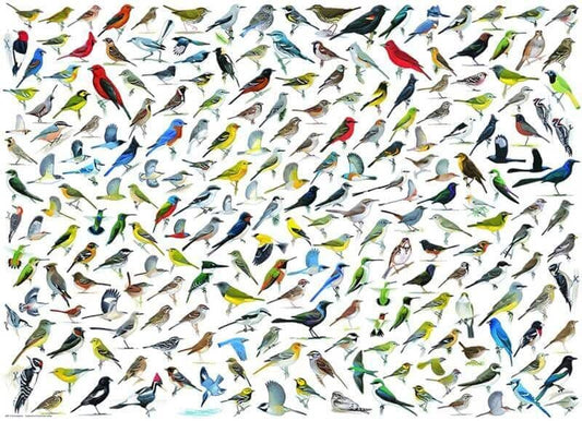 Eurographics - World of Birds - 1000 Piece Jigsaw Puzzle