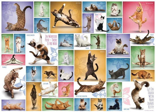 Eurographics - Yoga Cats  - 1000 Piece Jigsaw Puzzle