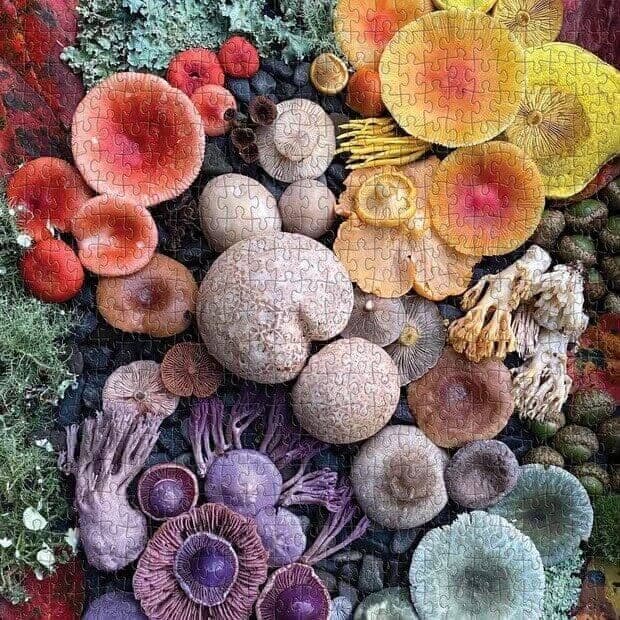 Galison - Shrooms in Bloom - 500 Piece Jigsaw Puzzle