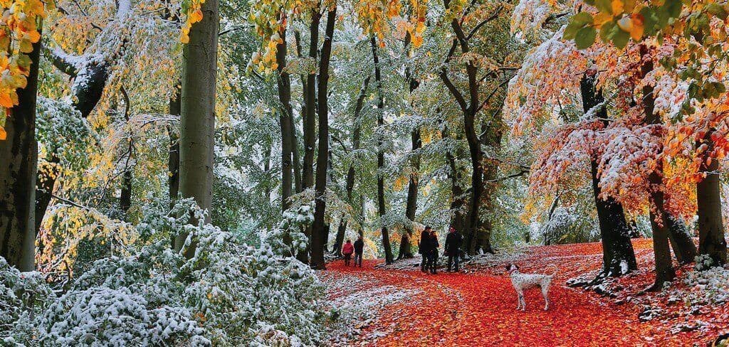 Gibsons - Snow in Autumn - 636 Piece Jigsaw Puzzle