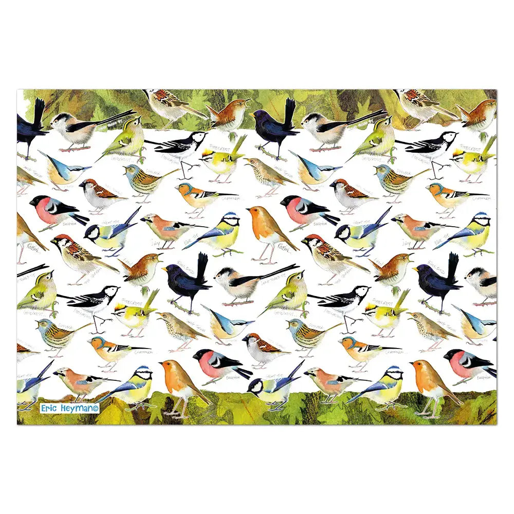 Emma Ball - British Birds - 1000 Piece Jigsaw Puzzle