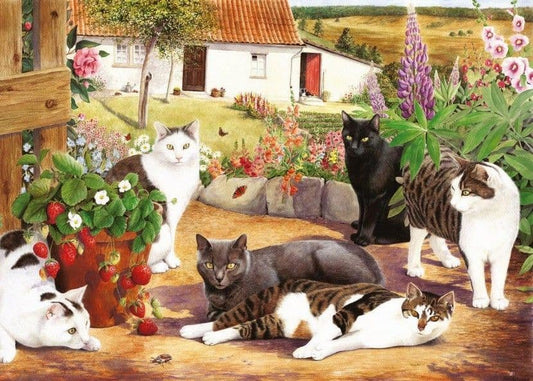 House of Puzzles - Cool Cats - 500XL Piece Jigsaw Puzzle