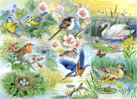 House of Puzzles - Feathered Friends - 250XL Piece Jigsaw Puzzle