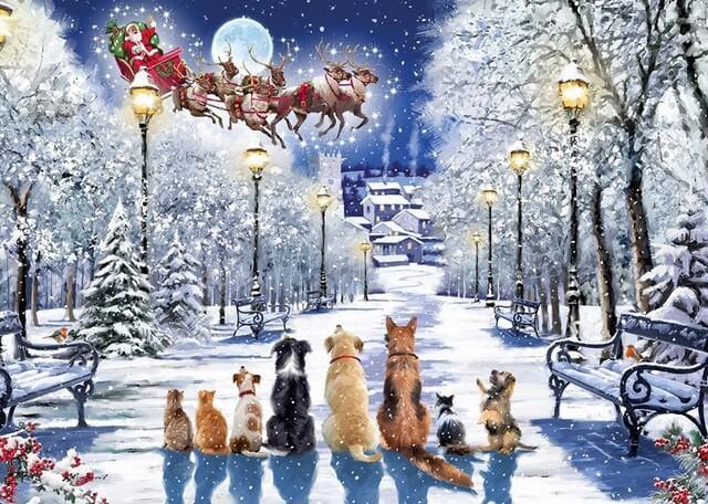 Otter House - Watching the Sleigh - 1000 Piece Jigsaw Puzzle