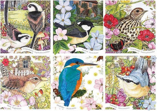 Otter House - Garden Birds  - 1000 Piece Jigsaw Puzzle