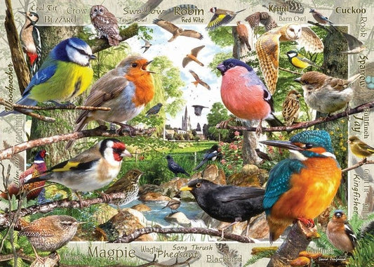 Ravensburger - Our Feathered Friend - 1000 Piece Jigsaw Puzzle